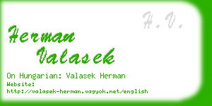 herman valasek business card